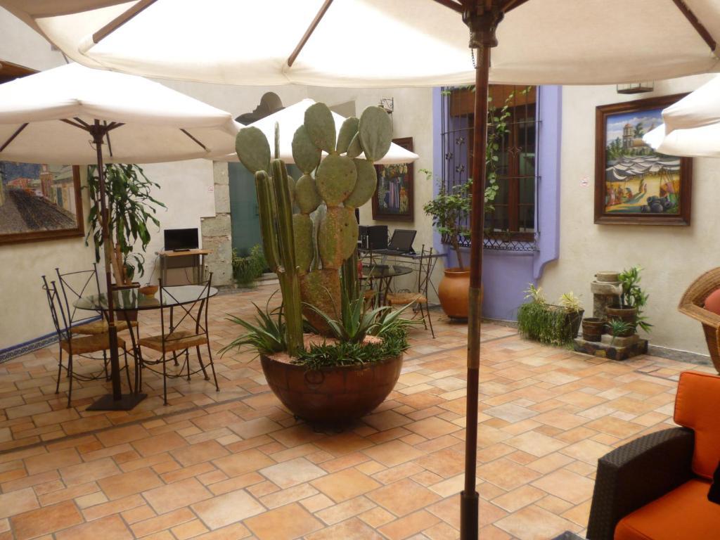 Hotel Trebol Oaxaca Phòng bức ảnh